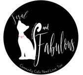 T-shirt reads: Feral and Fabulous. Community cats need love too.  With a retro kitty design. 